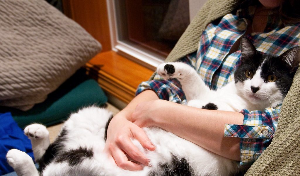 Un câlin entre une maîtresse et son chien