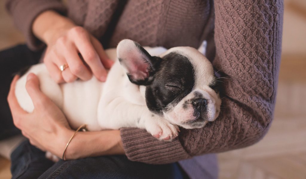 Une propriétaire et son chien heureux