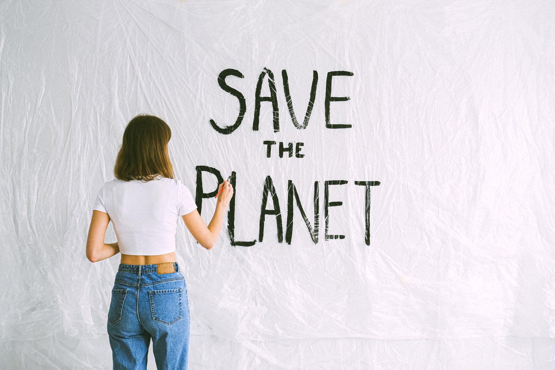Voyager de manière responsable et écologique avec votre compagnon