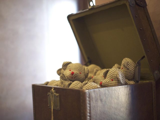 Chiot qui a peur d’être seul : causes et premières mesures