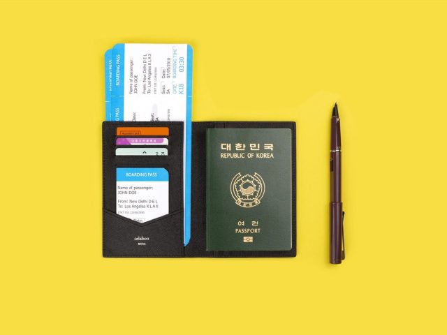 Guide: obtenir le passeport européen pour chien, chat et furet