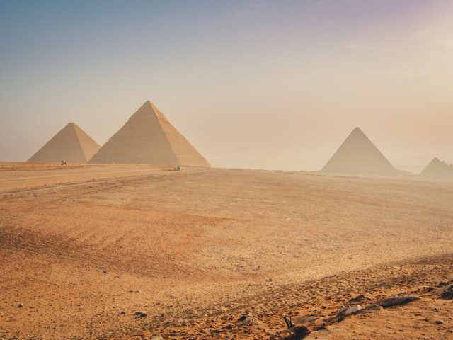 Quelles sont les nouvelles règles d’entrée en Égypte pour les voyageurs avec animaux ?
