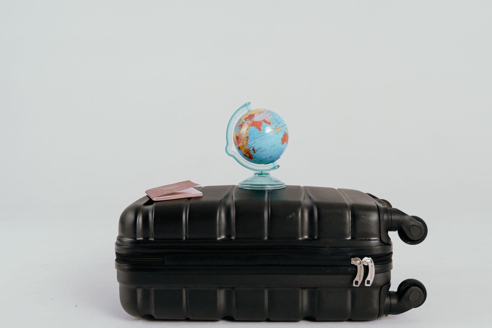 Astuces pour garder votre chat hydraté en voyage