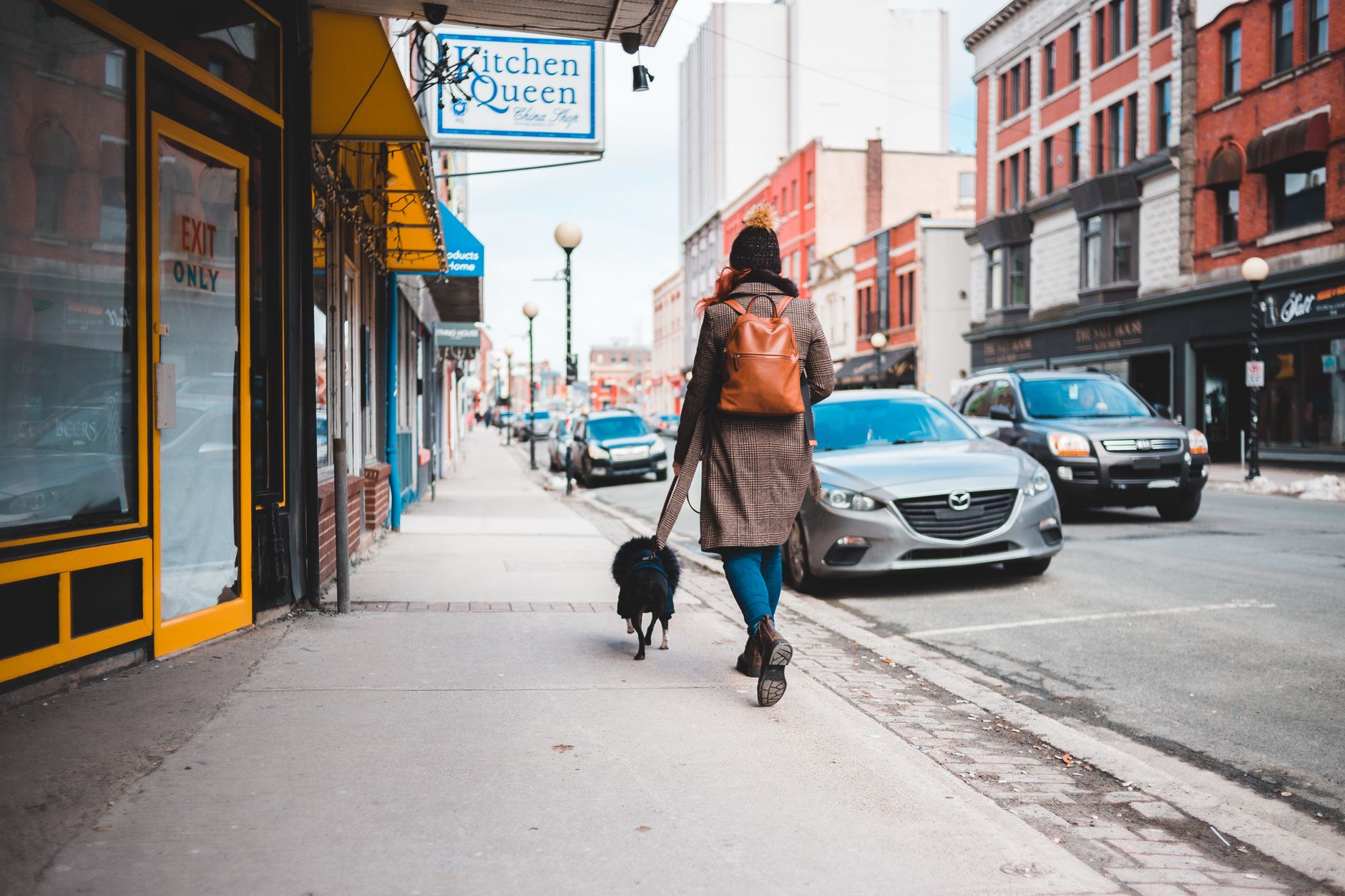 Meilleurs jours et horaires pour sortir son chien en ville